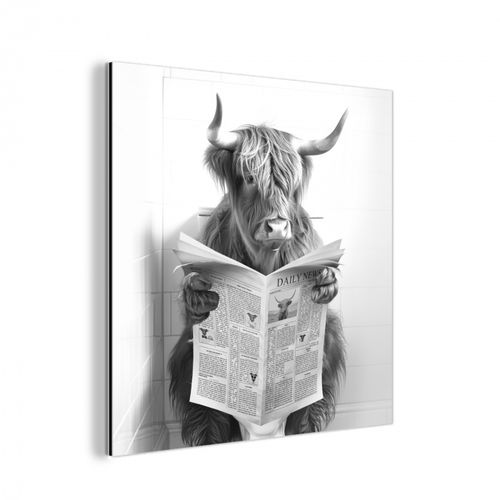 aluminium wit - Schotse Hooglander - Dier - Krant - WC