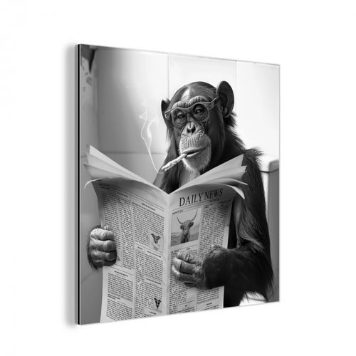 aluminium wit - Chimpansee - Aap - Krant - WC - Humor