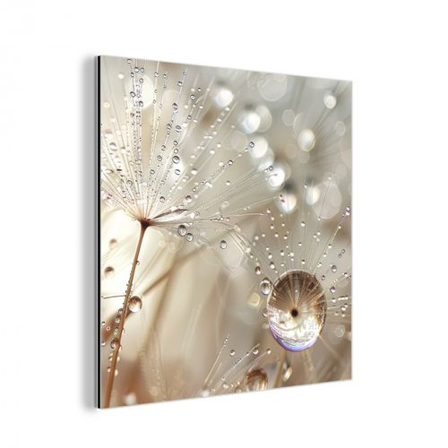 aluminium wit - Natuur - Bloemen - Druppels - Regen