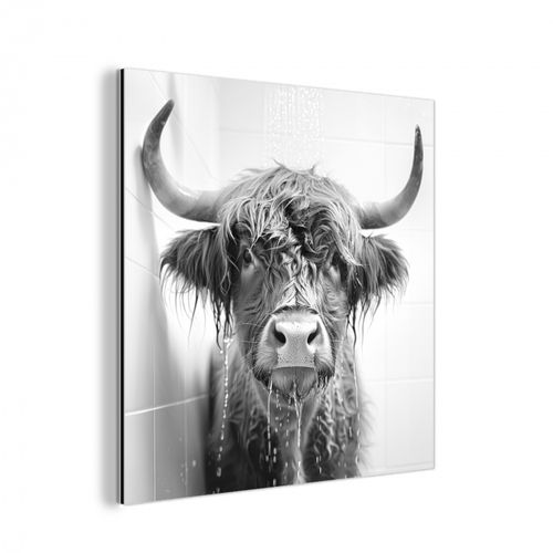 aluminium wit - Schotse Hooglander - Dier - Douche - Humor