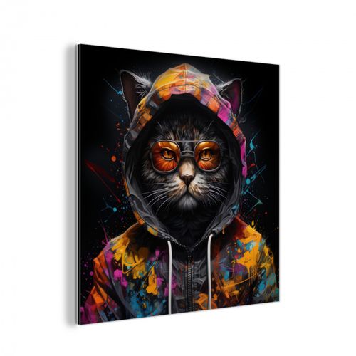 aluminium wit - Kat - Jas - Graffiti - Bril - Zwart