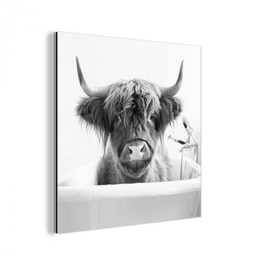 aluminium wit - Schotse Hooglander - Koe - Bad - Zwart wit