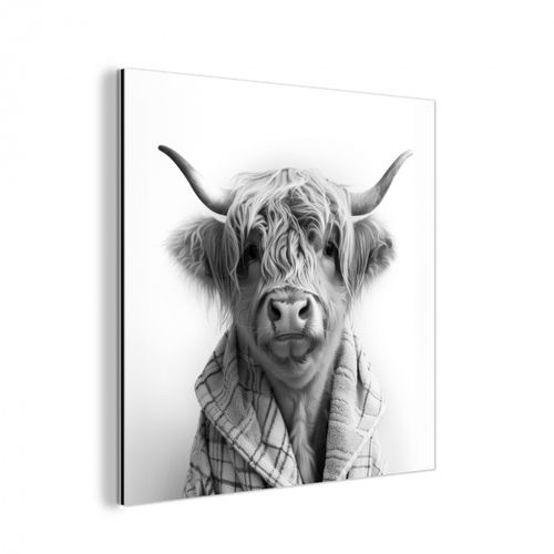 aluminium wit - Schotse Hooglander - Koe - Badjas - Zwart wit