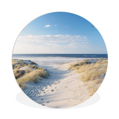 Muurcirkel - Duin - Meeuw - Strand - Zee - Zon
