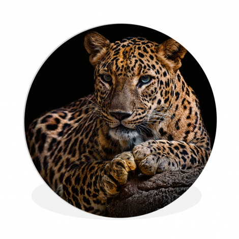 Muurcirkel - Wilde dieren - Panter - Portret - Zwart - Dieren
