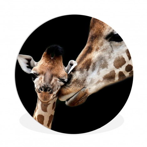 Muurcirkel - Giraffe - Dieren - Zwart - Portret - Dieren