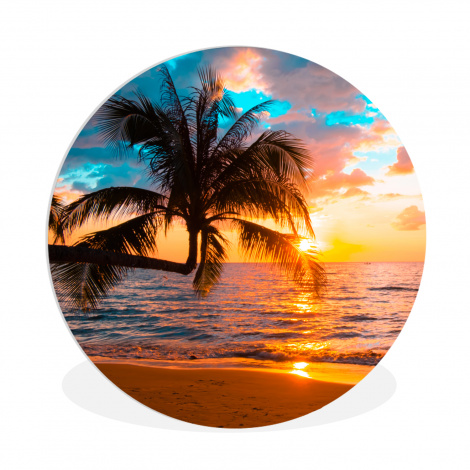 Muurcirkel - Palm - Zonsondergang - Horizon - Strand - Zee - Tropisch