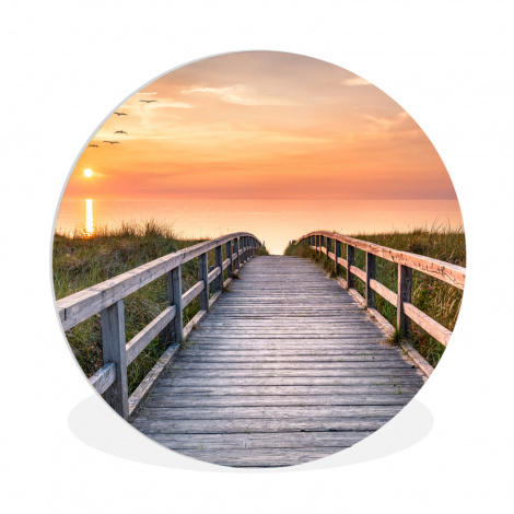 Muurcirkel - Zonsonderang - Zee - Pad - Gras - Duin - Vogels