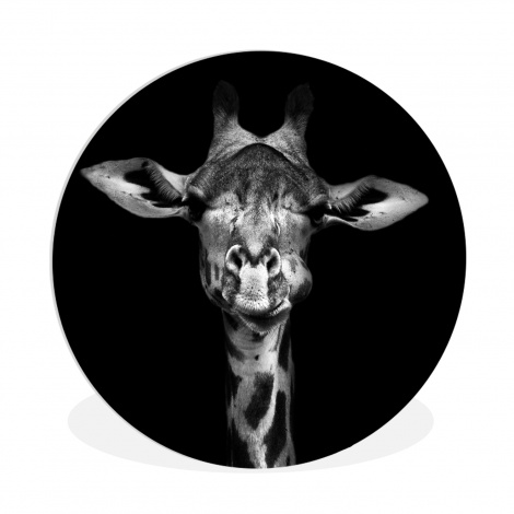 Muurcirkel - Giraffe - Portret - Dieren - Zwart - Wit