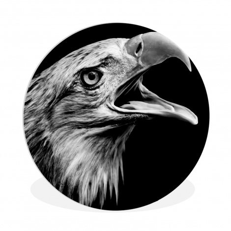 Muurcirkel - Adelaar - Portret - Roofvogels - Zwart - Wit - Vogel