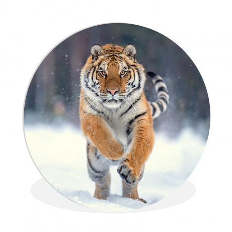 Muurcirkel - Tijger - Landschap - Sneeuw - Winter - Dieren