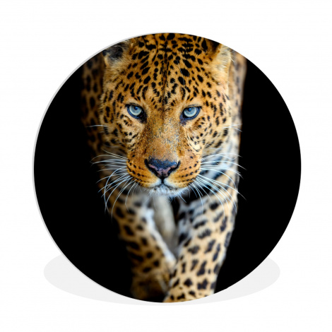 Muurcirkel - Luipaard - Dieren - Portret - Wilde dieren - Zwart