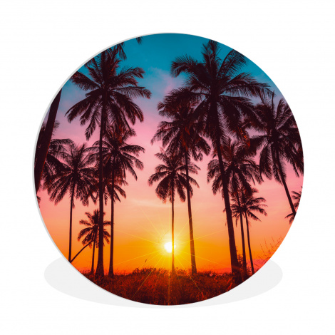 Muurcirkel - Palmboom - Zonsondergang - Horizon - Strand - Oranje - Roze
