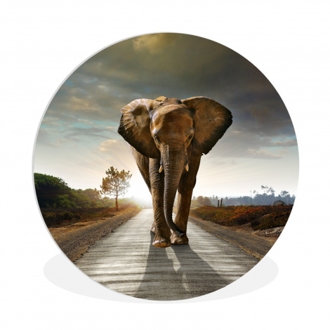 Muurcirkel - Olifant - Weg - Dieren - Zonsondergang - Landschap