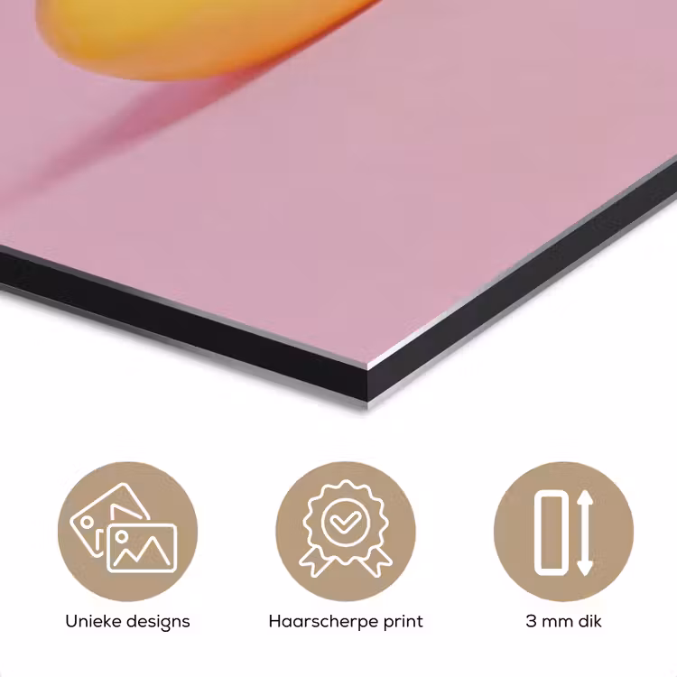 Aluminium schilderij - Eendjes - Vrolijk - Roze — 3