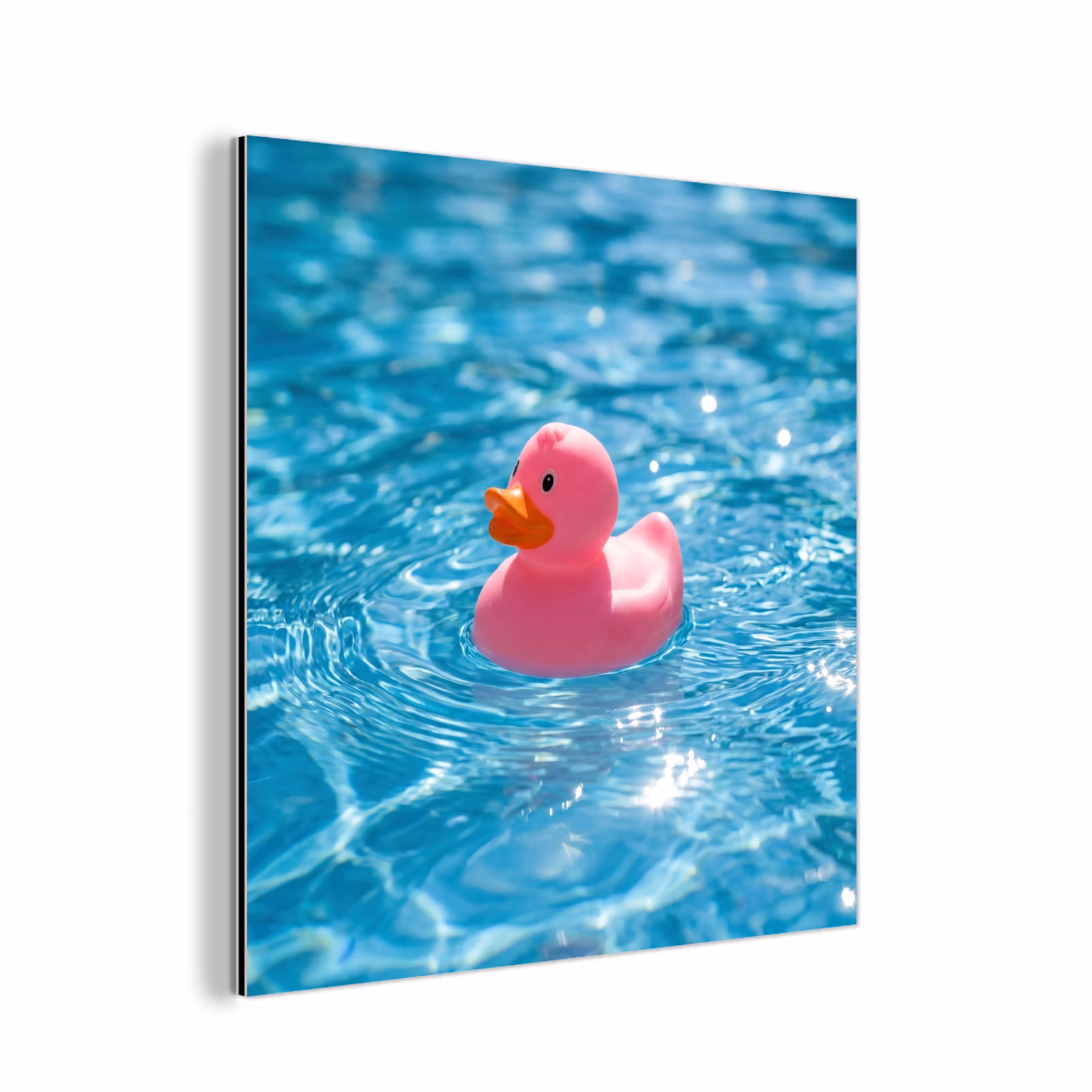 Aluminium schilderij - Badeend - Dobberend - Roze — 1