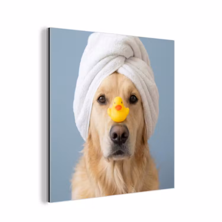 Aluminium schilderij - Hond - Badeend - Geel — 1