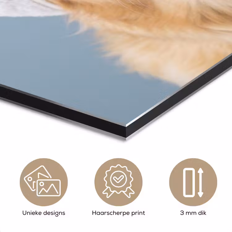 Aluminium schilderij - Hond - Badeend - Geel — 3