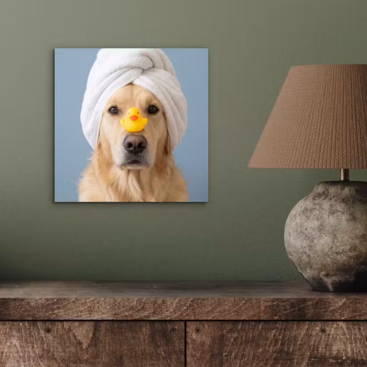 Aluminium schilderij - Hond - Badeend - Geel — 4