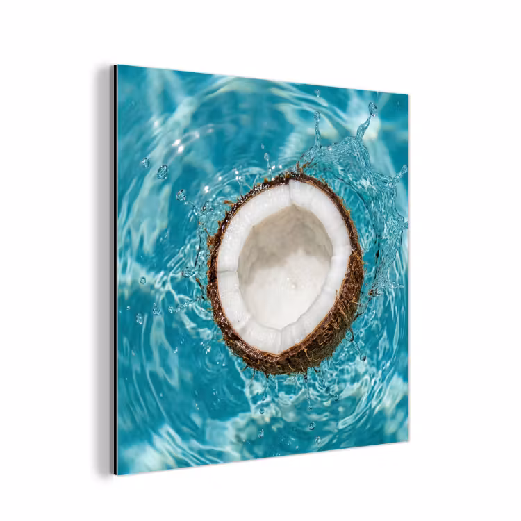 Aluminium schilderij - Kokosnoot - Water - Wit — 1