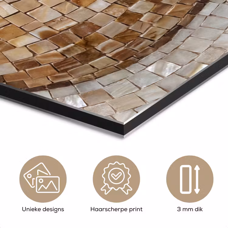 Aluminium schilderij - Schelp - Mozaïek - Zee - Beige - Modern — 3
