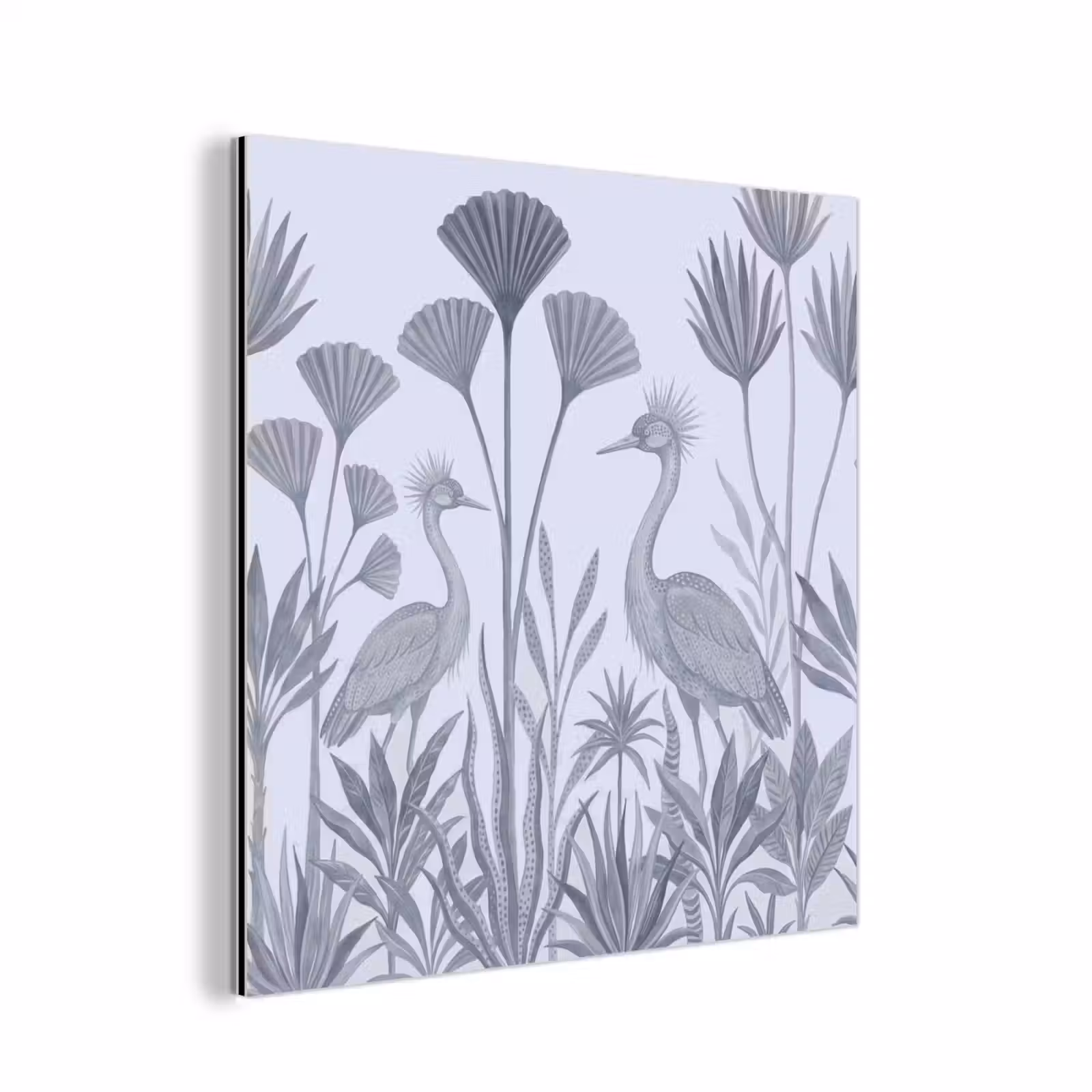 Aluminium schilderij - Vogel - Tropisch - Illustratie - Blauwgrijs - Natuur — 1