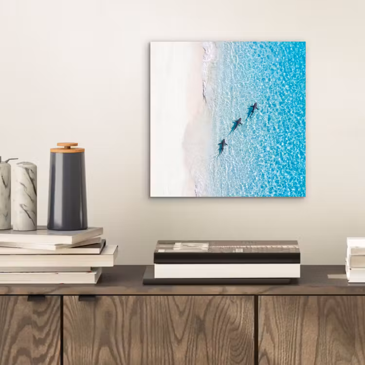 Aluminium schilderij - Vis - Oceaan - Strand - Turquoise - Natuur — 2