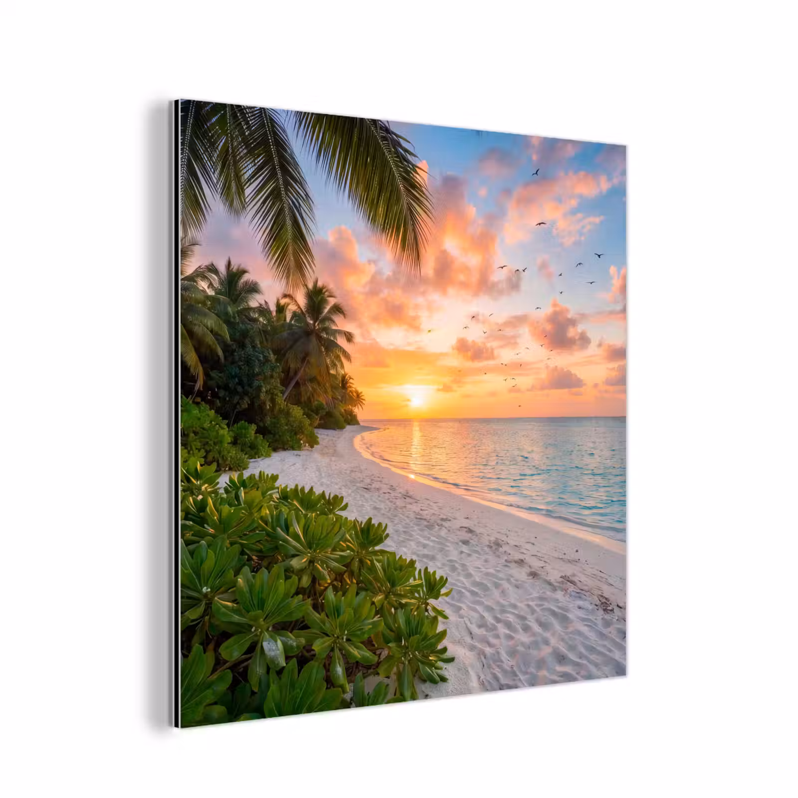 Aluminium schilderij - Strand - Zonsondergang - Palmbomen - Tropisch - Natuur — 1