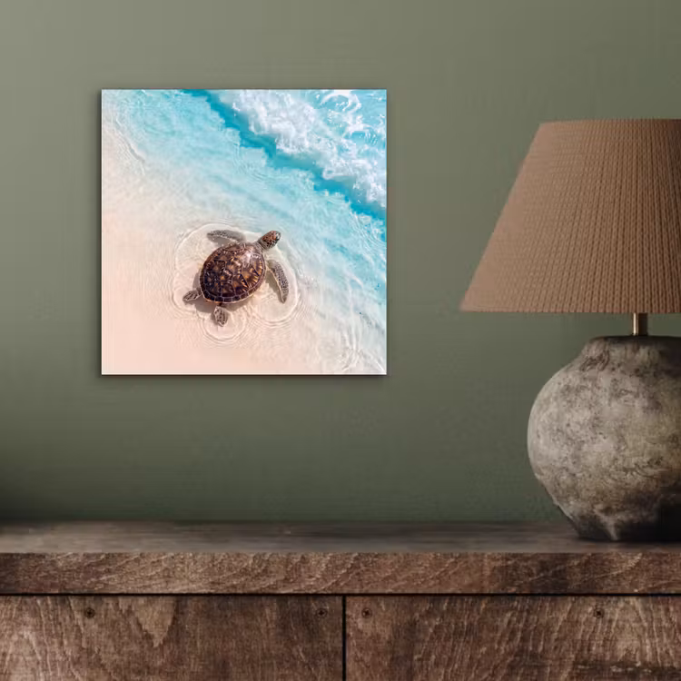 Aluminium schilderij - Schildpad - Helder water - Strand - Dieren - Natuur — 4