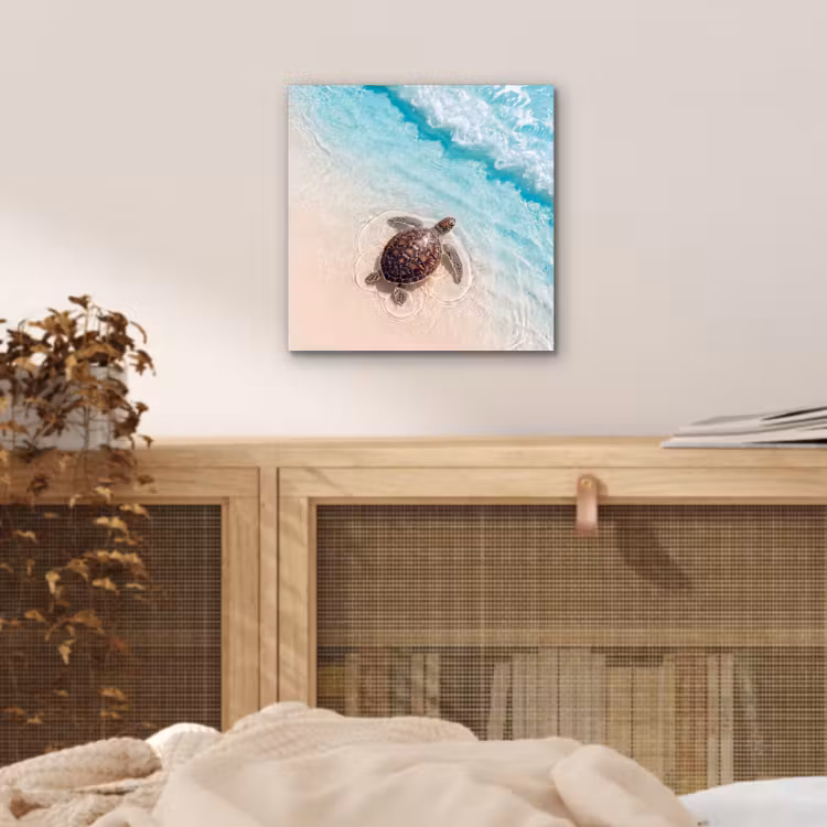 Aluminium schilderij - Schildpad - Helder water - Strand - Dieren - Natuur — 5