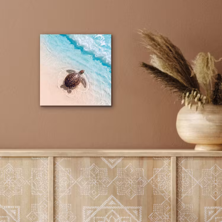 Aluminium schilderij - Schildpad - Helder water - Strand - Dieren - Natuur — 6