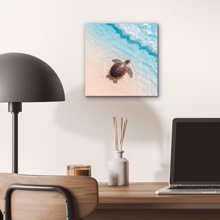 Aluminium schilderij - Schildpad - Helder water - Strand - Dieren - Natuur — 7