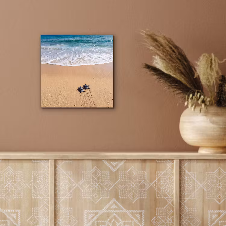 Aluminium schilderij - Schildpad - Jong - Strand - Oceaan - Blauw — 6