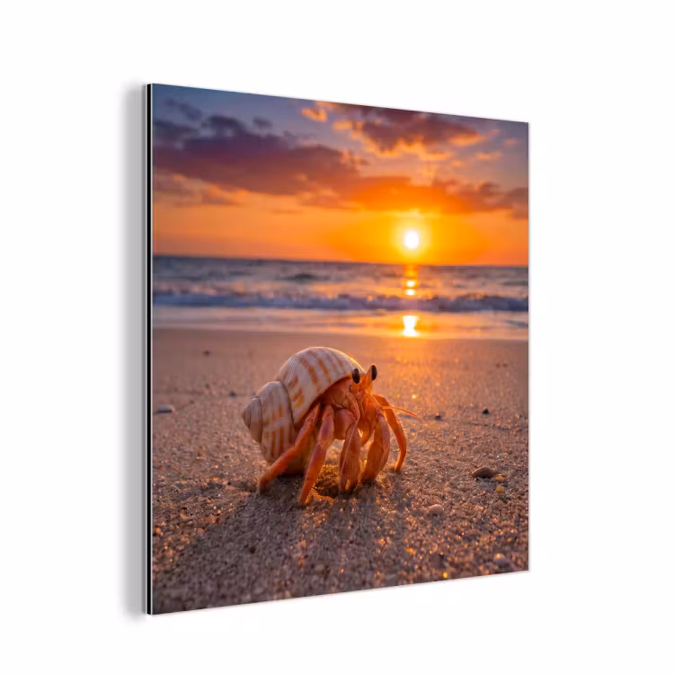 Aluminium schilderij - Kreeft - Strand - Natuur - Zonsondergang - Oranje — 1