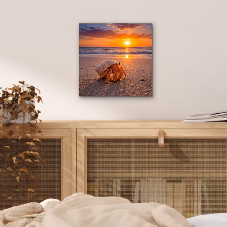 Aluminium schilderij - Kreeft - Strand - Natuur - Zonsondergang - Oranje — 5