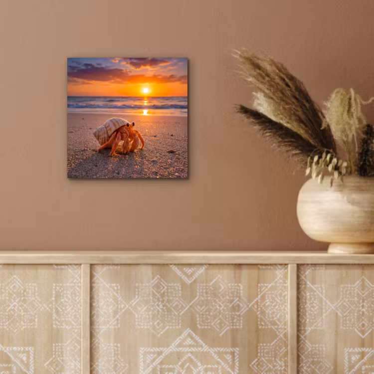 Aluminium schilderij - Kreeft - Strand - Natuur - Zonsondergang - Oranje — 6